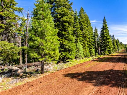 Undeveloped Land for sale in Modoc County, California