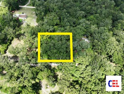Land for sale in Dixie County, Florida