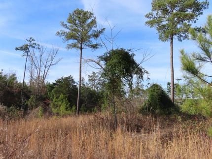 Farm and Ranch for sale in Fairfield County, South Carolina