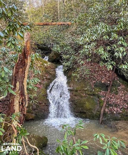 Farm and Ranch for sale in Madison County, North Carolina