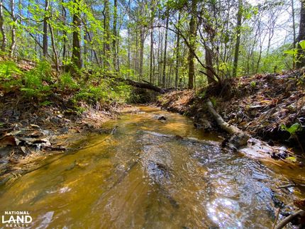 Recreational Property in Tuscaloosa County, Alabama