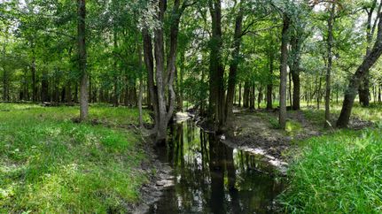 Recreational Property for sale in Gonzales County, Texas