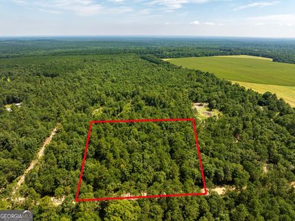 Farm and Ranch for sale in Burke County, Georgia
