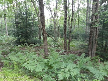 Commercial Property for sale in Carbon County, Pennsylvania