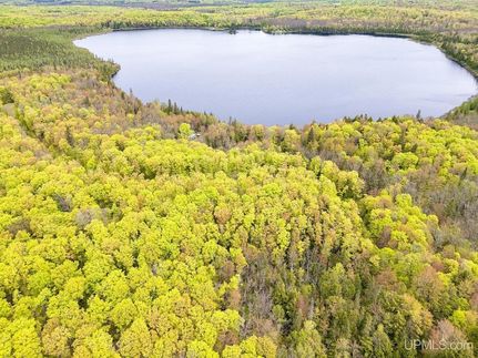 Timberland Property for sale in Gogebic County, Michigan