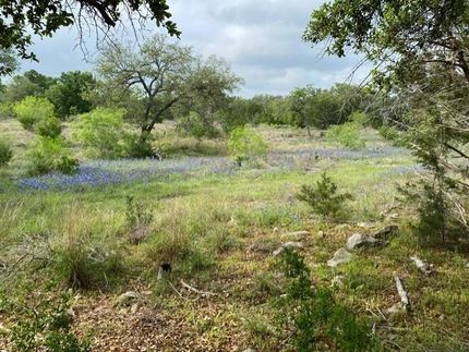 Timberland Property for sale in Blanco County, Texas