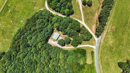 Timberland Property for sale in Prince Edward County, Virginia