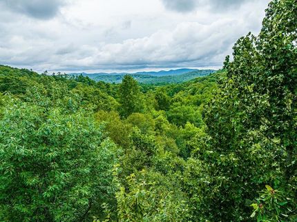 Farm and Ranch for sale in Macon County, North Carolina