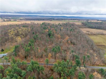 Undeveloped Land for sale in Livingston County, New York