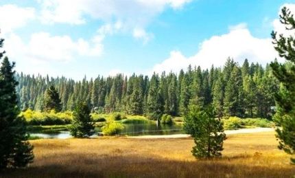 Recreational Property for sale in Tuolumne County, California