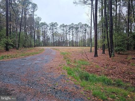 Timberland Property for sale in Talbot County, Maryland