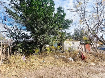 Undeveloped Land for sale in Hidalgo County, Texas