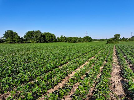 Farm and Ranch for sale in Noble County, Indiana