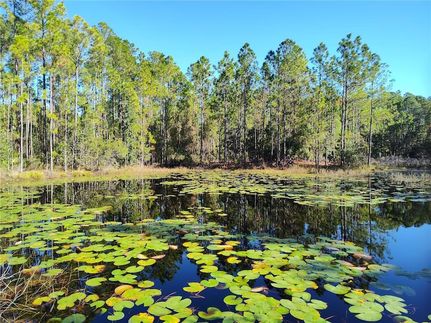 Farm and Ranch for sale in Lake County, Florida