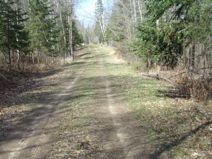 Undeveloped Land for sale in Aitkin County, Minnesota