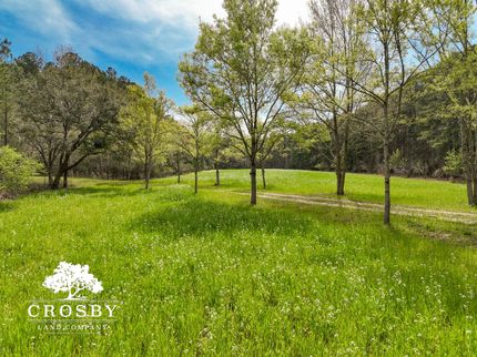 Farm and Ranch in Colleton County, South Carolina