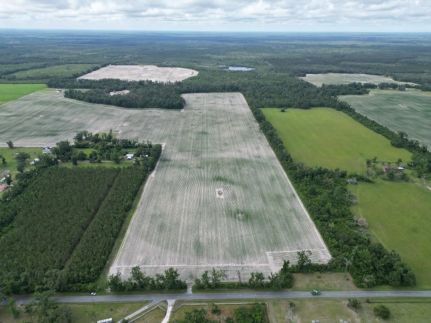 Timberland Property for sale in Lafayette County, Florida