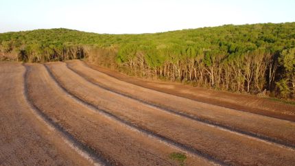 Hunting Property for sale in Lawrence County, Alabama