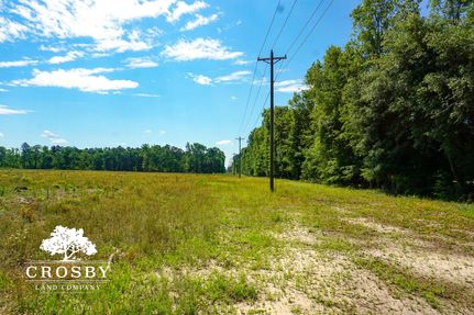 Land in Allendale County, South Carolina