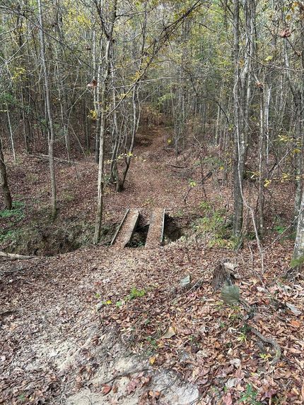 Farm and Ranch for sale in Wilcox County, Alabama