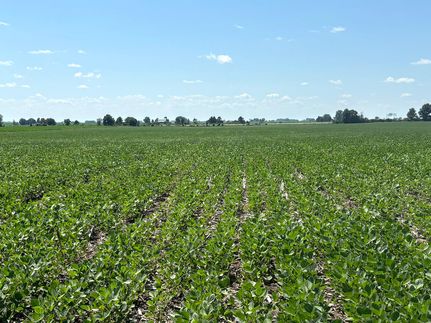 Farm and Ranch for sale in Bureau County, Illinois