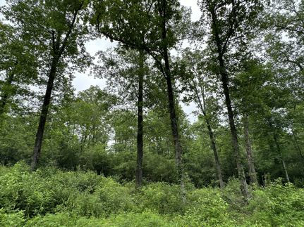 Farm and Ranch for sale in Nacogdoches County, Texas