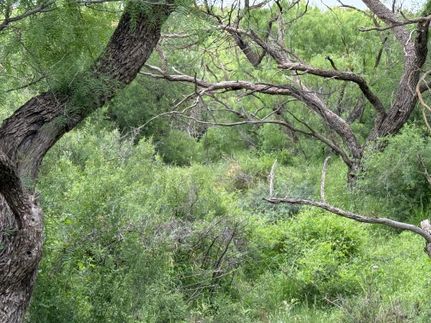 Farm and Ranch for sale in Coke County, Texas