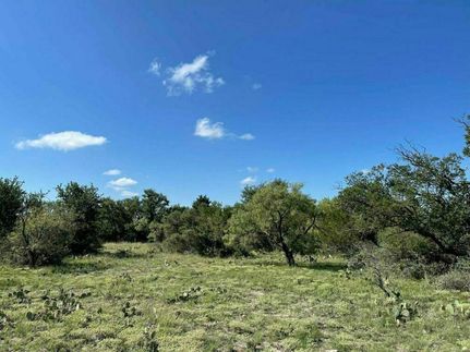 Timberland Property for sale in Schleicher County, Texas