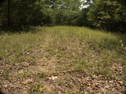 Timberland Property for sale in Clay County, Tennessee