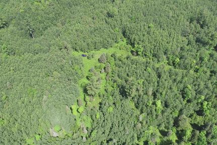 Recreational Property for sale in Iron County, Michigan