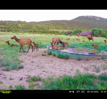 Farm and Ranch for sale in Las Animas County, Colorado