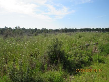 Recreational Property for sale in Baldwin County, Alabama