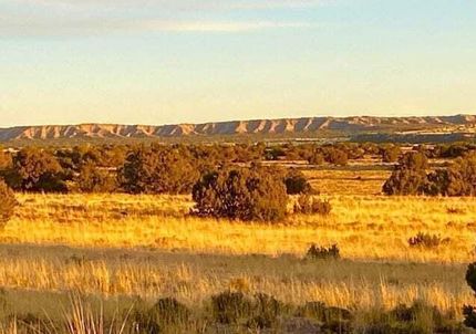 Timberland Property for sale in Apache County, Arizona