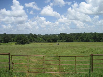 Farm and Ranch for sale in Houston County, Texas