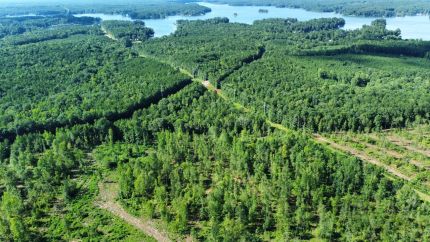 Undeveloped Land for sale in Lee County, Alabama