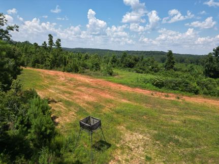 Recreational Property for sale in Dallas County, Alabama