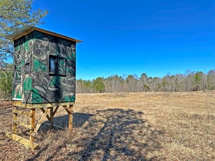 Hunting Property in Simpson County, Mississippi