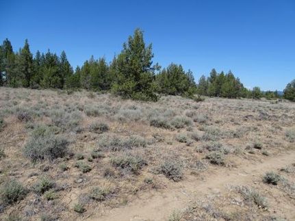 Homesite for sale in Klamath County, Oregon