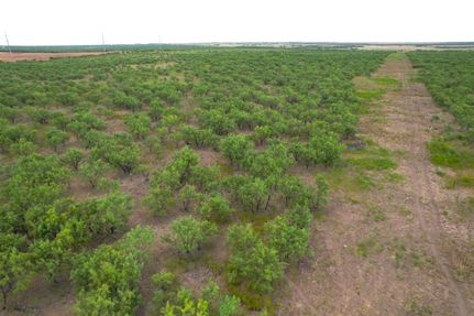 Land for sale in Jones County, Texas