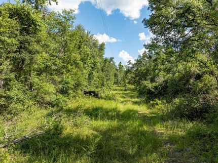 Farm and Ranch for sale in Hamilton County, Florida