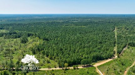Timberland Property for sale in Oglethorpe County, Georgia