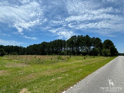Farm and Ranch for sale in Allendale County, South Carolina
