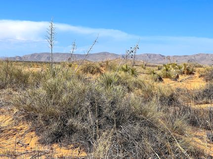 Timberland Property for sale in El Paso County, Texas
