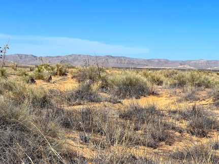 Undeveloped Land for sale in El Paso County, Texas