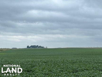 Farm and Ranch in Renville County, Minnesota