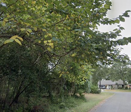 Farm and Ranch for sale in Harris County, Texas