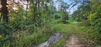 Farm and Ranch for sale in Putnam County, Florida