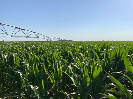 Farm and Ranch for sale in Holt County, Nebraska