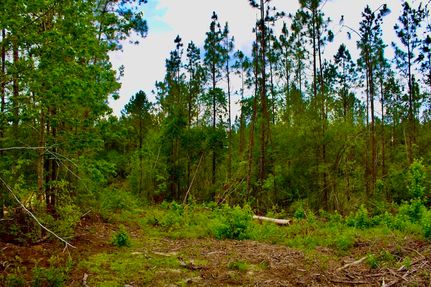 Farm and Ranch for sale in Walthall County, Mississippi