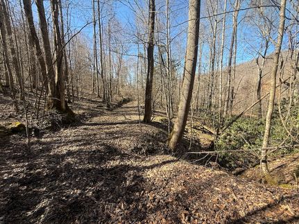 Recreational Property for sale in Johnson County, Tennessee